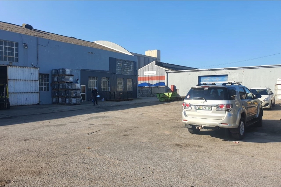 To Let commercial Property for Rent in Deal Party Eastern Cape